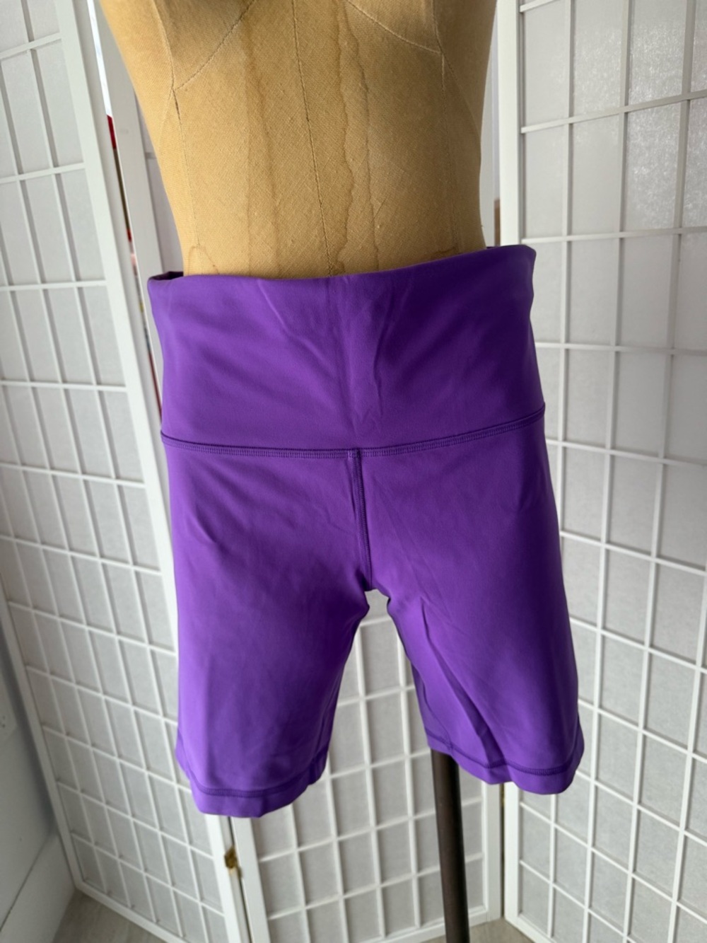Lululemon Align High Rise Biker Shorts Purple Size 12